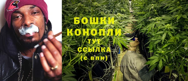 ALPHA-PVP Алексеевка