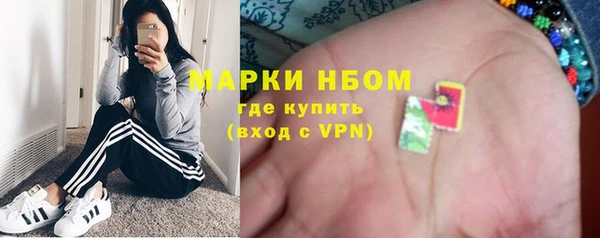 стаф Алексин