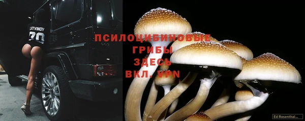 круглые Алзамай