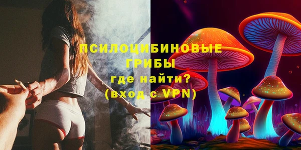 ALPHA-PVP Алексеевка