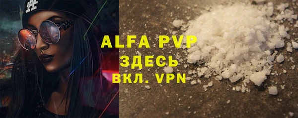стаф Алексин