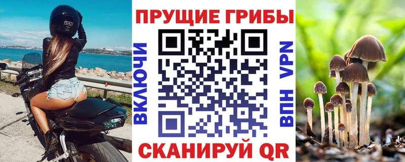 Галлюциногенные грибы Psilocybine cubensis Купить закладки Красноуральск